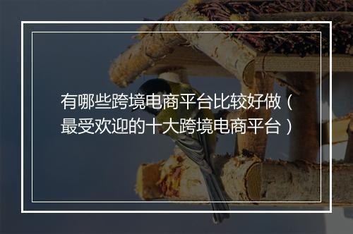 有哪些跨境电商平台比较好做（最受欢迎的十大跨境电商平台）