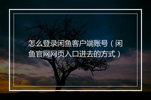 怎么登录闲鱼客户端账号（闲鱼官网网页入口进去的方式）