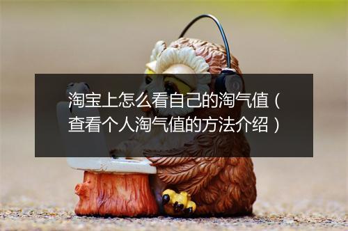 淘宝上怎么看自己的淘气值（查看个人淘气值的方法介绍）