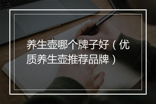 养生壶哪个牌子好（优质养生壶推荐品牌）
