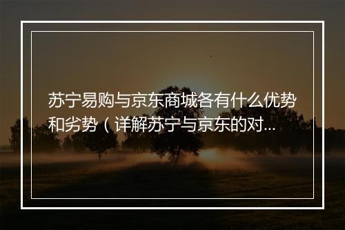 苏宁易购与京东商城各有什么优势和劣势（详解苏宁与京东的对比分析）