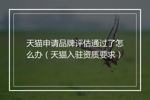 天猫申请品牌评估通过了怎么办（天猫入驻资质要求）