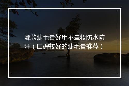 哪款睫毛膏好用不晕妆防水防汗（口碑较好的睫毛膏推荐）