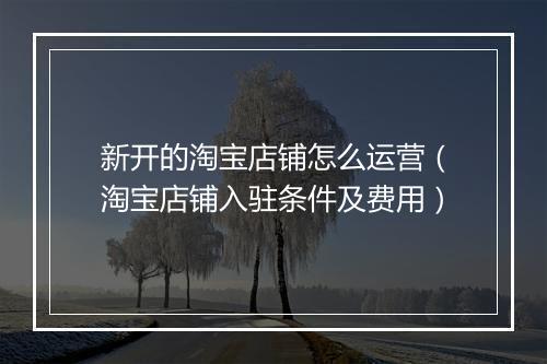 新开的淘宝店铺怎么运营（淘宝店铺入驻条件及费用）