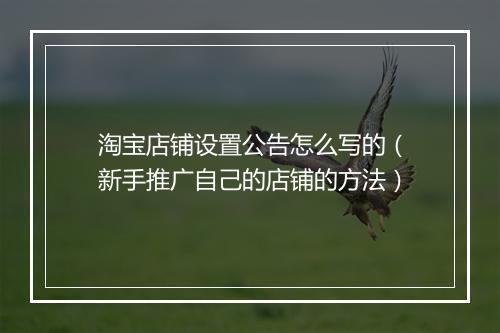 淘宝店铺设置公告怎么写的（新手推广自己的店铺的方法）