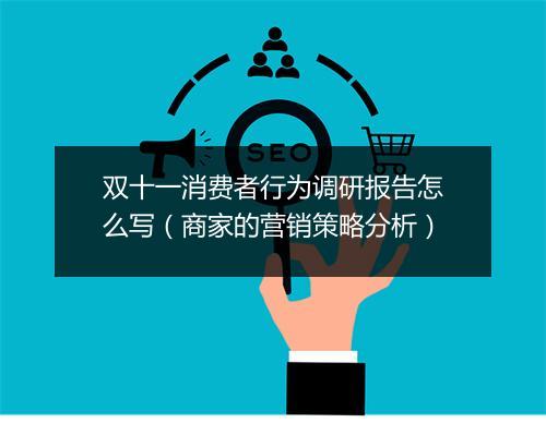 双十一消费者行为调研报告怎么写（商家的营销策略分析）