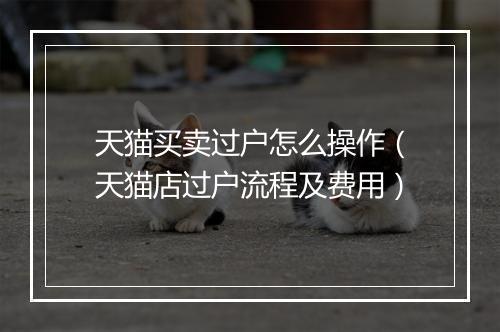 天猫买卖过户怎么操作（天猫店过户流程及费用）