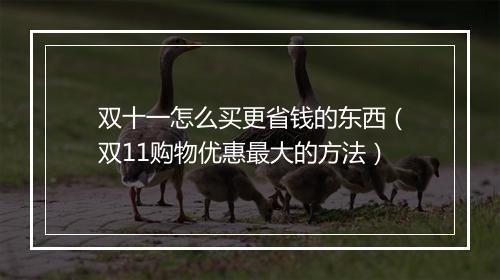 双十一怎么买更省钱的东西（双11购物优惠最大的方法）