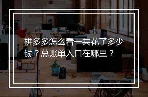 拼多多怎么看一共花了多少钱？总账单入口在哪里？