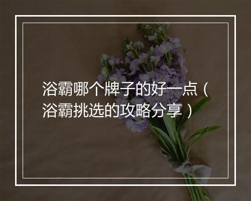浴霸哪个牌子的好一点（浴霸挑选的攻略分享）