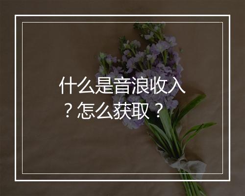 什么是音浪收入？怎么获取？