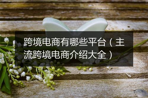 跨境电商有哪些平台（主流跨境电商介绍大全）