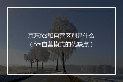京东fcs和自营区别是什么（fcs自营模式的优缺点）