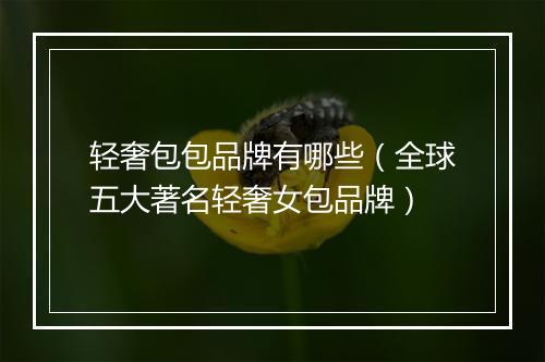 轻奢包包品牌有哪些（全球五大著名轻奢女包品牌）