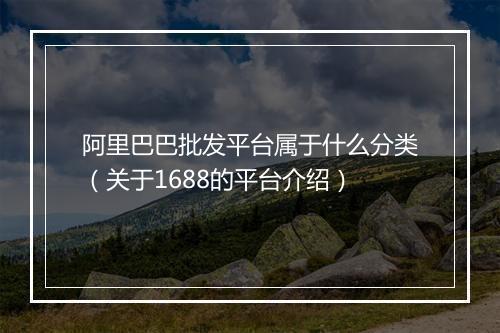 阿里巴巴批发平台属于什么分类（关于1688的平台介绍）