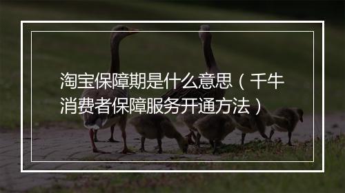 淘宝保障期是什么意思（千牛消费者保障服务开通方法）