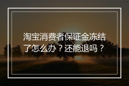 淘宝消费者保证金冻结了怎么办？还能退吗？