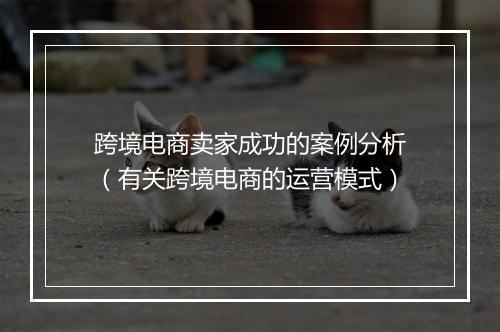 跨境电商卖家成功的案例分析（有关跨境电商的运营模式）