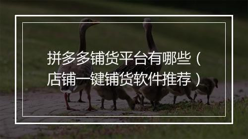 拼多多铺货平台有哪些（店铺一键铺货软件推荐）