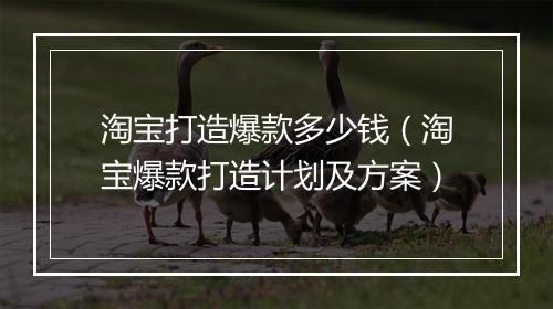 淘宝打造爆款多少钱（淘宝爆款打造计划及方案）