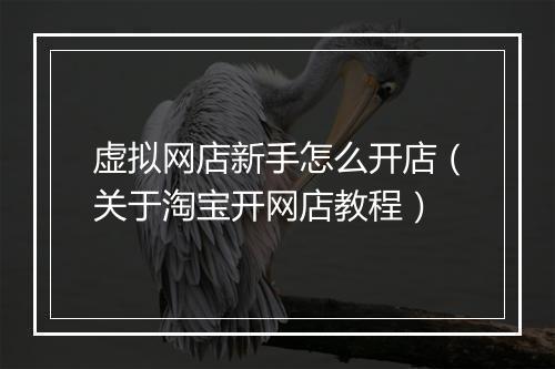 虚拟网店新手怎么开店（关于淘宝开网店教程）