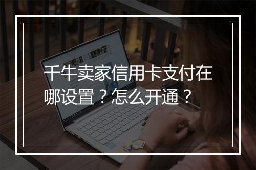 千牛卖家信用卡支付在哪设置？怎么开通？