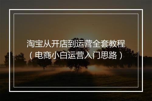 淘宝从开店到运营全套教程（电商小白运营入门思路）