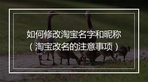 如何修改淘宝名字和昵称（淘宝改名的注意事项）