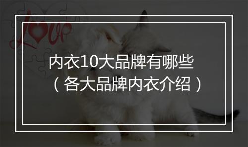 内衣10大品牌有哪些（各大品牌内衣介绍）