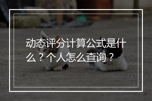 动态评分计算公式是什么？个人怎么查询？