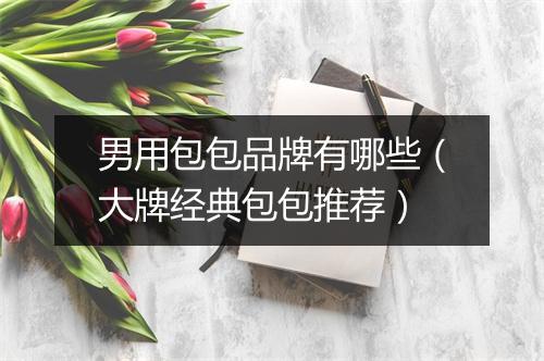 男用包包品牌有哪些（大牌经典包包推荐）