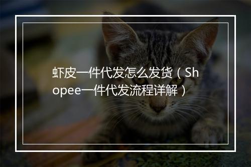 虾皮一件代发怎么发货（Shopee一件代发流程详解）