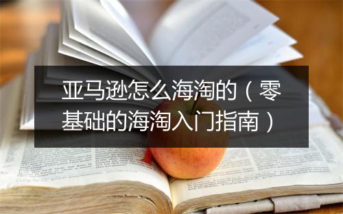 亚马逊怎么海淘的（零基础的海淘入门指南）