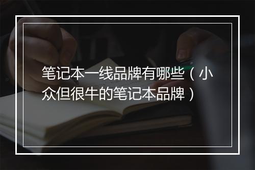 笔记本一线品牌有哪些（小众但很牛的笔记本品牌）