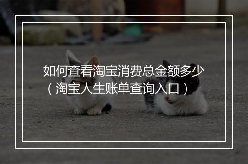 如何查看淘宝消费总金额多少（淘宝人生账单查询入口）