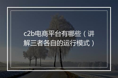c2b电商平台有哪些（讲解三者各自的运行模式）