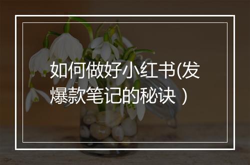 如何做好小红书(发爆款笔记的秘诀）