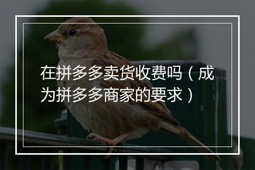 在拼多多卖货收费吗（成为拼多多商家的要求）