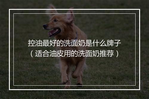 控油最好的洗面奶是什么牌子（适合油皮用的洗面奶推荐）