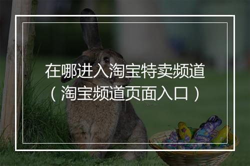 在哪进入淘宝特卖频道（淘宝频道页面入口）