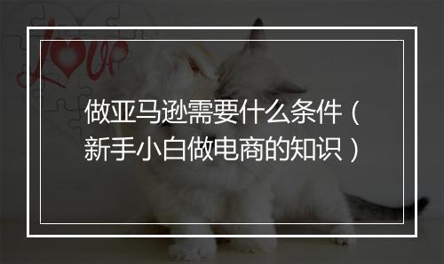 做亚马逊需要什么条件（新手小白做电商的知识）