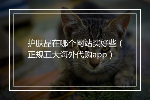 护肤品在哪个网站买好些（正规五大海外代购app）