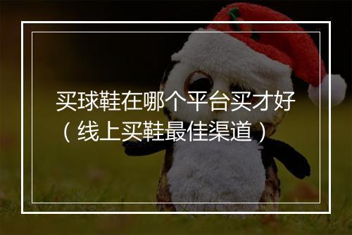 买球鞋在哪个平台买才好（线上买鞋最佳渠道）