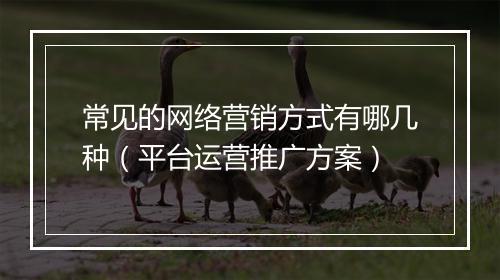 常见的网络营销方式有哪几种（平台运营推广方案）