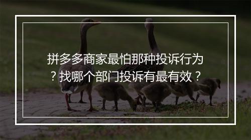 拼多多商家最怕那种投诉行为？找哪个部门投诉有最有效？