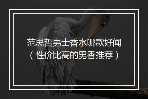 范思哲男士香水哪款好闻（性价比高的男香推荐）