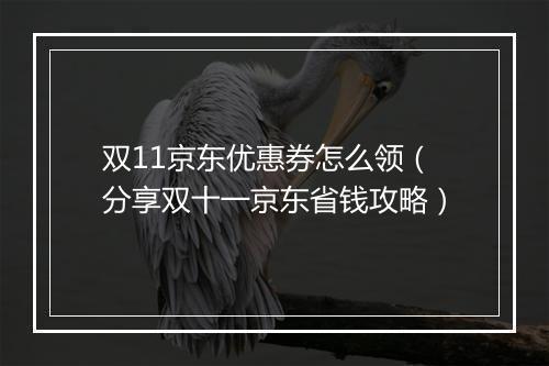 双11京东优惠券怎么领（分享双十一京东省钱攻略）