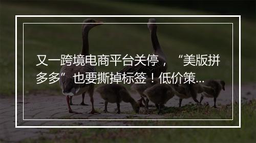 又一跨境电商平台关停，“美版拼多多”也要撕掉标签！低价策略走不通了！