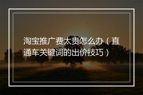 淘宝推广费太贵怎么办（直通车关键词的出价技巧）