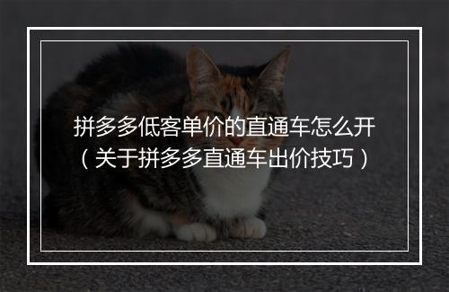 拼多多低客单价的直通车怎么开（关于拼多多直通车出价技巧）